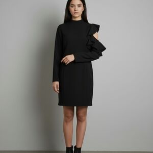 Elegant Black Ruffle Sleeve Dress